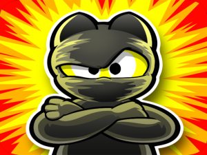 Angry Ninja Hero