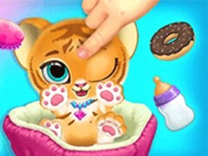 Baby Tiger Care – A Day With Baby Tiger