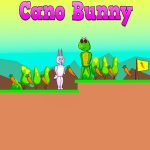 Cano Bunny
