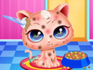 Cute Kitty Care – Pet Makeover