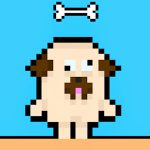 Dog and Cat