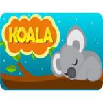 EG Koala