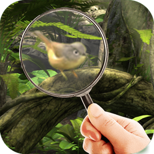 Fairy Woods Hidden Objects