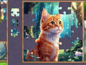 Fragments of Wonder