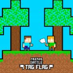 Friends Battle Tag Flag
