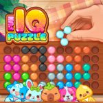 Fun IQ Puzzle