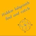 Hidden labyrinth – find and catch