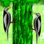 Little Woodpecker