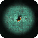 Maze of Infection