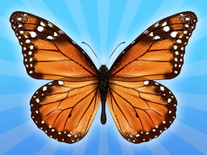 MergeButerfly: 2048!
