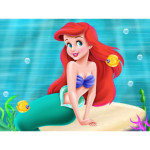 Mermaid Princess Adventure