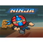 Mini Ninja