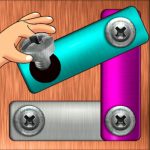Nut & Bolt Steel Screw Puzzle