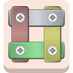 Nuts And Bolts Screw Puzzle