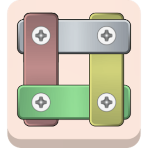 Nuts And Bolts Screw Puzzle