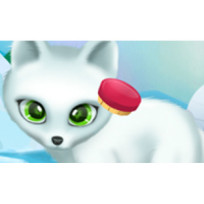Paws to Beauty: Arctic Edition