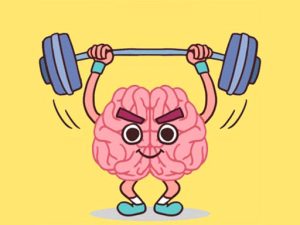 Perfect Brain 3D Puzzle