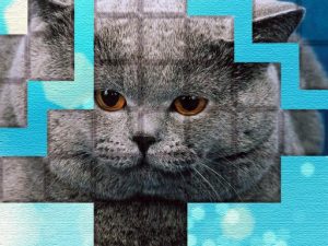 PicPu – Cat Puzzle