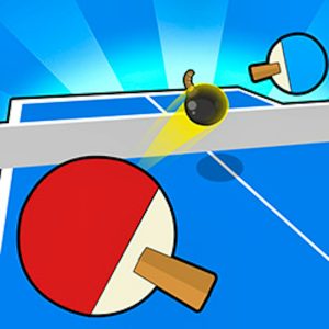 Ping Pong Table Tennis