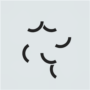 Plait Puzzle