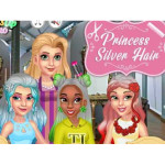 Princess Silver Hairstyles