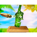 Real Bottle Shooter Game