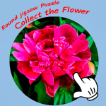 Round jigsaw Puzzle – Collect the Flower