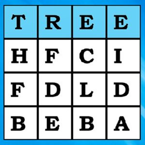 Simple Words Search