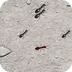Squash These Ants 2