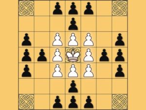 Tafl: viking chess