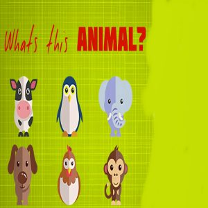 What’s That Animal