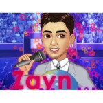 Zayn Malik World Tour